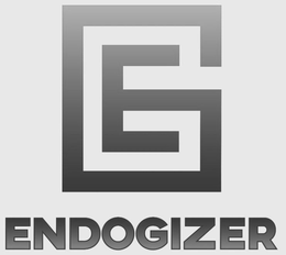 E ENDOGIZER trademark