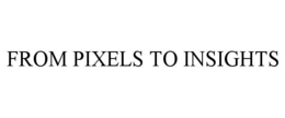 FROM PIXELS TO INSIGHTS trademark