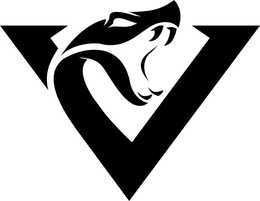 V trademark