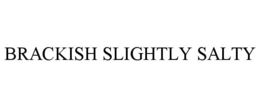 BRACKISH SLIGHTLY SALTY trademark