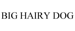 BIG HAIRY DOG trademark