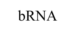 BRNA trademark