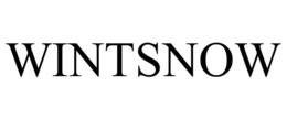 WINTSNOW trademark