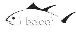 BALEAF trademark