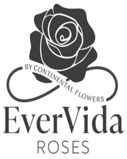 EVERVIDA ROSES BY CONTINENTAL FLOWERS trademark