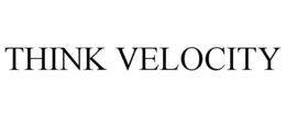 THINK VELOCITY trademark