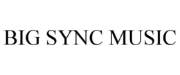 BIG SYNC MUSIC trademark