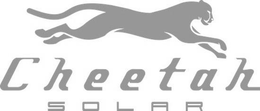 CHEETAH SOLAR trademark