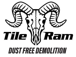 TILE RAM DUST FREE DEMOLITION trademark