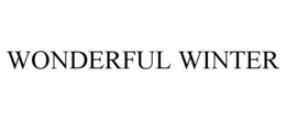 WONDERFUL WINTER trademark