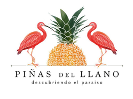 PIÑAS DEL LLANO DESCUBRIENDO EL PARAISO trademark