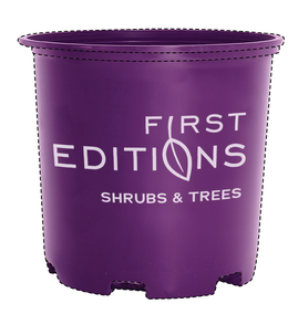 FIRST EDITIONS SHRUBS & TREES trademark