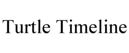 TURTLE TIMELINE trademark