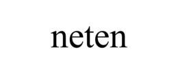 NETEN trademark