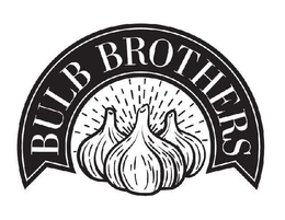 BULB BROTHERS trademark