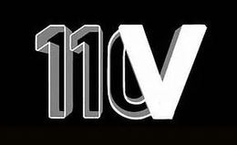 110V trademark