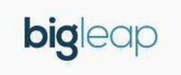 BIGLEAP trademark