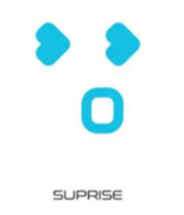 SUPRISE trademark
