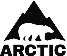 ARCTIC trademark
