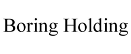 BORING HOLDING trademark