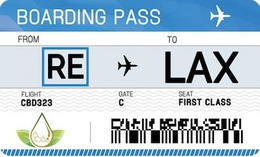 BOARDING PASS FROM RE TO LAX FLIGHT CBD323 GATE C SEAT FIRST CLASS trademark
