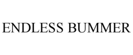 ENDLESS BUMMER trademark
