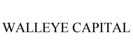 WALLEYE CAPITAL trademark
