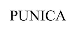 PUNICA trademark