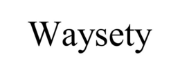 WAYSETY trademark