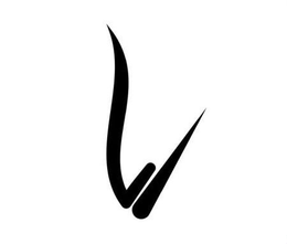 V trademark