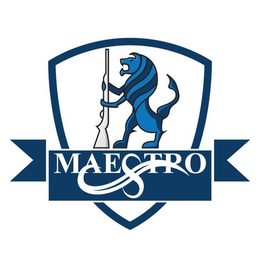 MAESTRO trademark