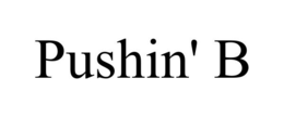 PUSHIN' B trademark
