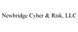 NEWBRIDGE CYBER & RISK, LLC trademark
