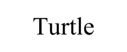 TURTLE trademark