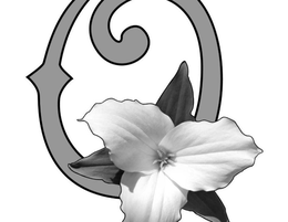 O trademark
