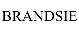 BRANDSIE trademark