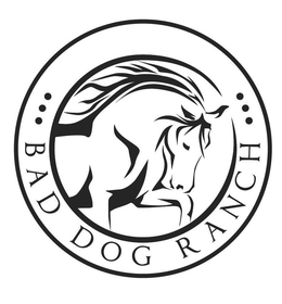 BAD DOG RANCH trademark
