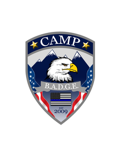CAMP BADGE, 2009 trademark