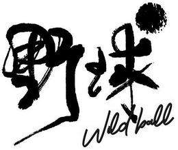 WILD BALL trademark