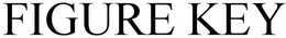 FIGURE KEY trademark