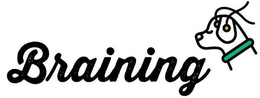 BRAINING trademark