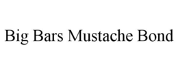 BIG BARS MUSTACHE BOND trademark