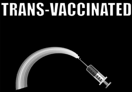 TRANS-VACCINATED trademark