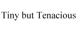 TINY BUT TENACIOUS trademark