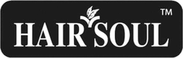 HAIR SOUL trademark