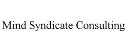 MIND SYNDICATE CONSULTING trademark