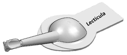LECTICULA trademark