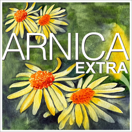 ARNICA EXTRA trademark