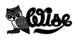 WISE trademark
