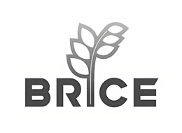 BRICE trademark